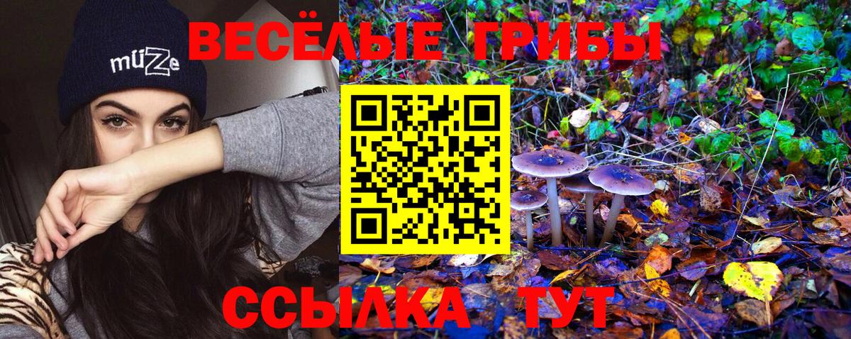 Галлюциногенные грибы GOLDEN TEACHER Новоалександровск