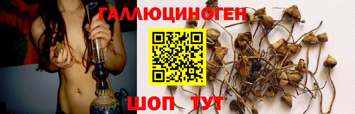 Псилоцибиновые грибы прущие грибы  Вход с VPN  Новоалександровск 